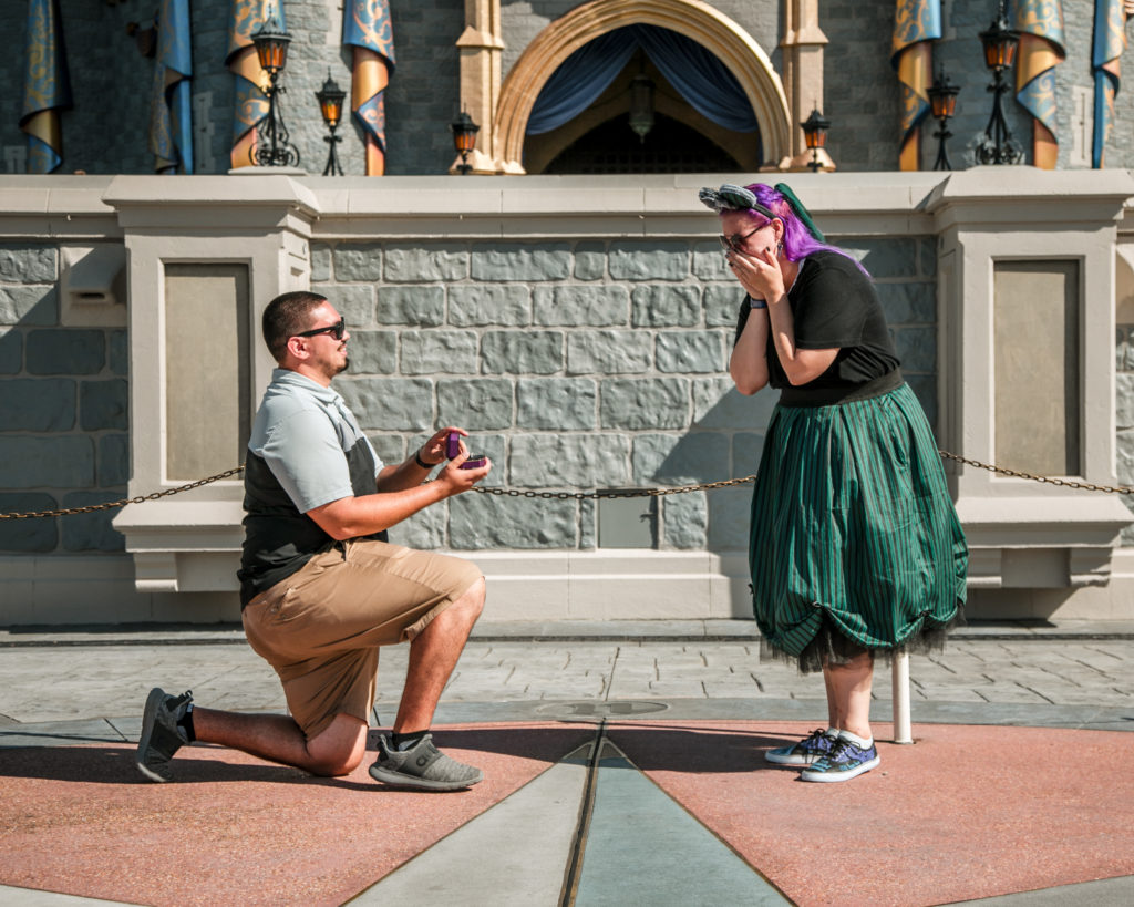 Disney Proposal